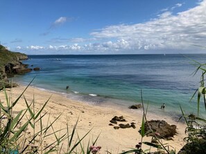 A beach with clear water, rocky outcrops, and sparse vegetation.