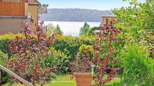 A garden with red-leafed plants and a view of a lake. - Gorgeous home in Waren (Müritz) (Waren (Müritz))