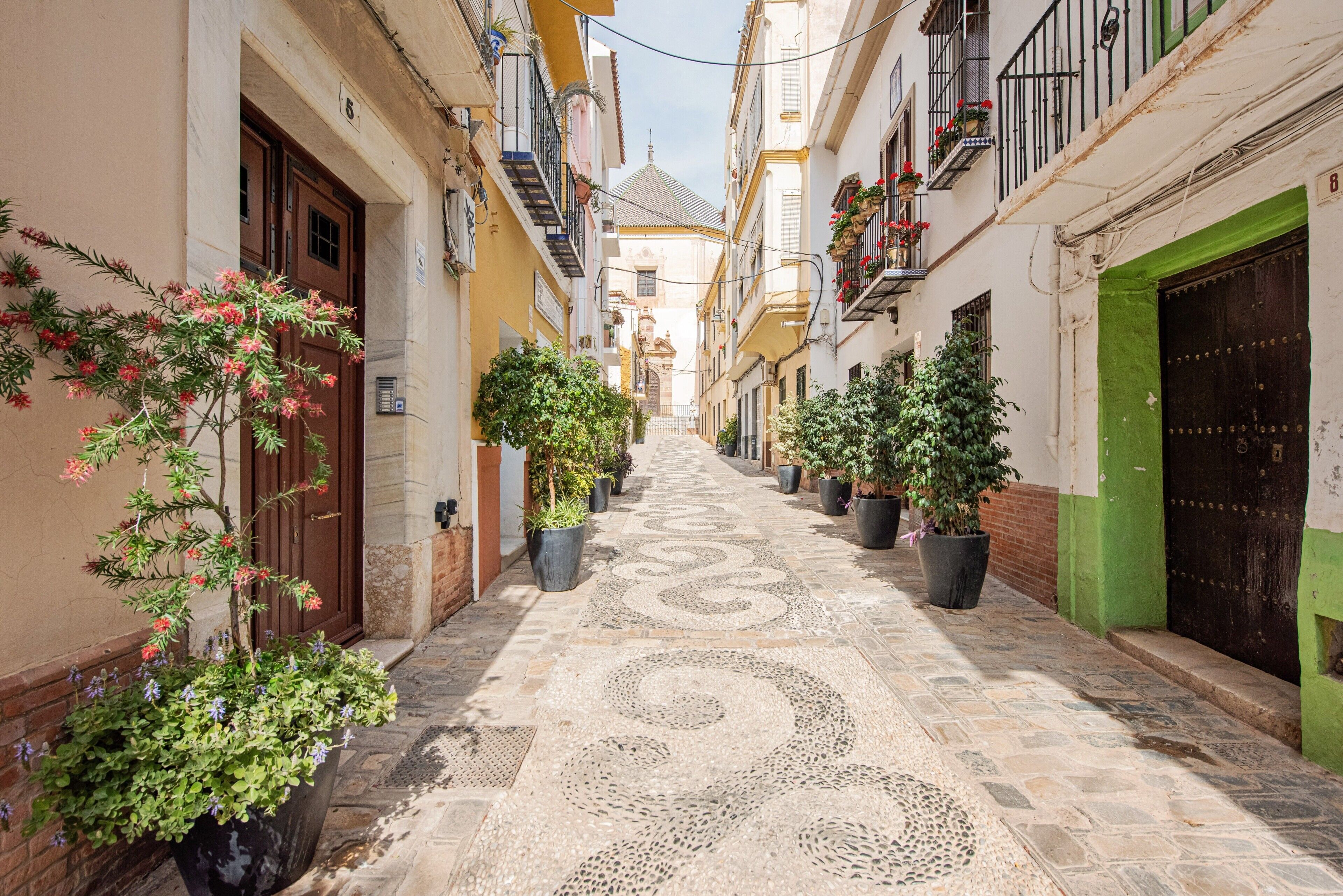 Parco della struttura