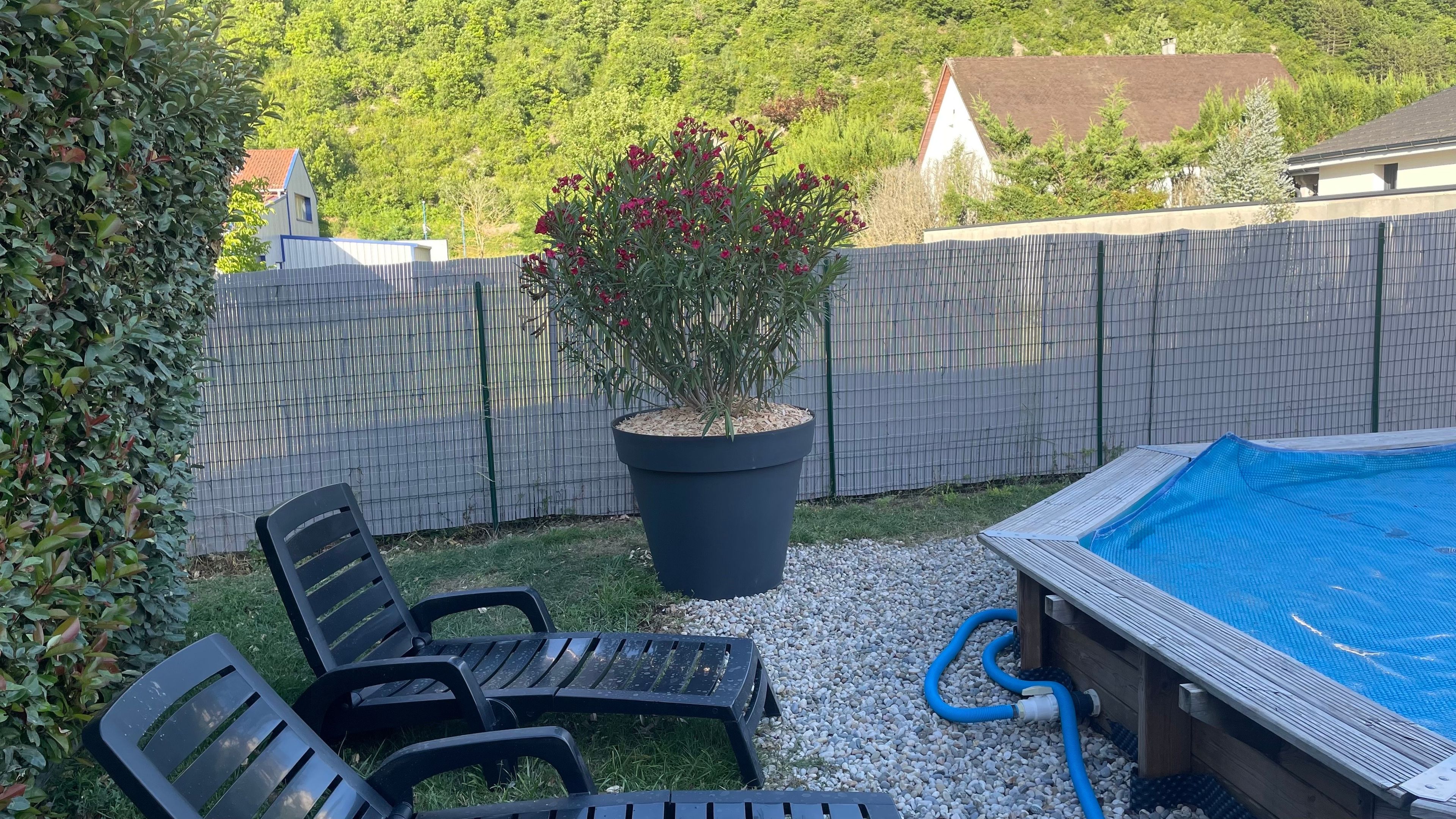 Un cortile con piscina, una pianta in vaso e due sedie.