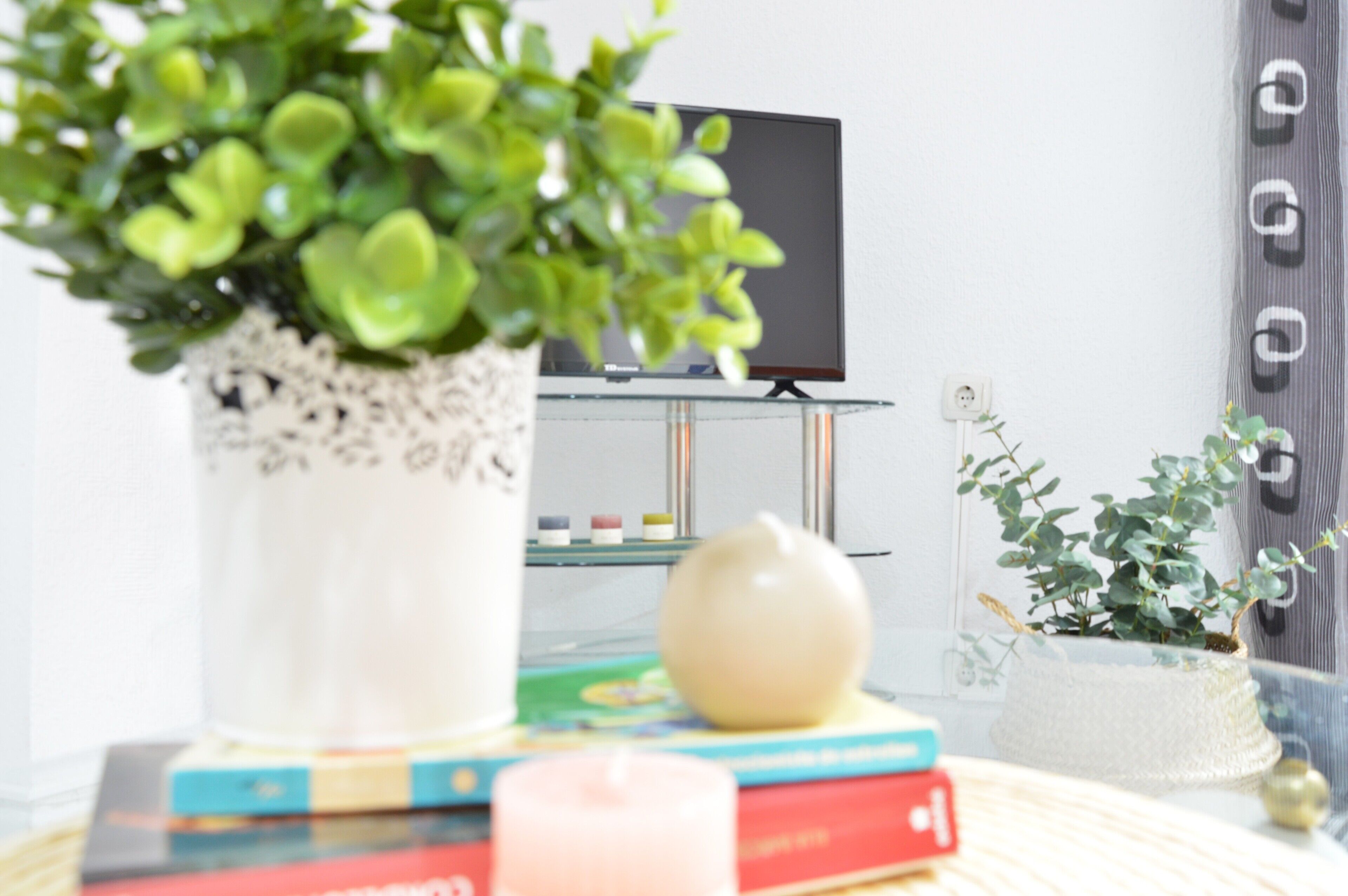 Een kamer met een televisie op een standaard, een potplant, een kaars en boeken op een tafel.