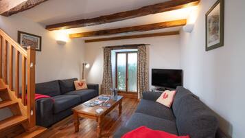 Televisio, DVD-soitin, pöytätennispöytä