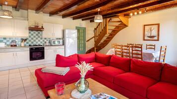 TV, DVD player, ping pong