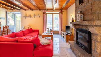 Televisio, DVD-soitin, pöytätennispöytä