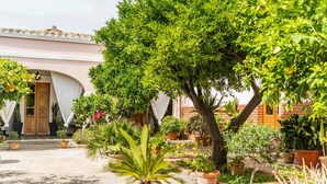 Un patio con plantas en macetas, una puerta de madera y un muro de ladrillo.