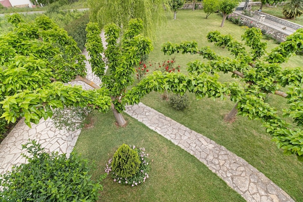 A landscaped garden with a stone pathway, neatly trimmed hedges, and various trees.