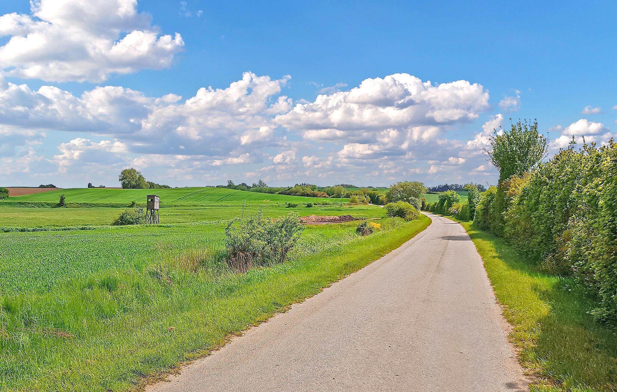 A rural road flanked by green fields and a clear sky.