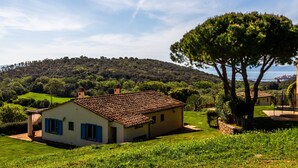 Una casa de un piso con tejado de tejas, rodeada de un césped cuidado y un gran árbol.