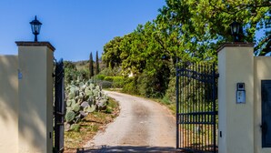 Una entrada con reja y un camino pavimentado que atraviesa un área ajardinada con cactus y árboles.