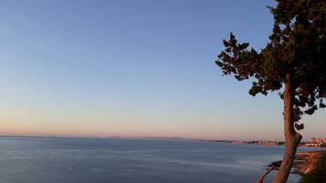 A coastal view with a clear sky, a tree, and a body of water.