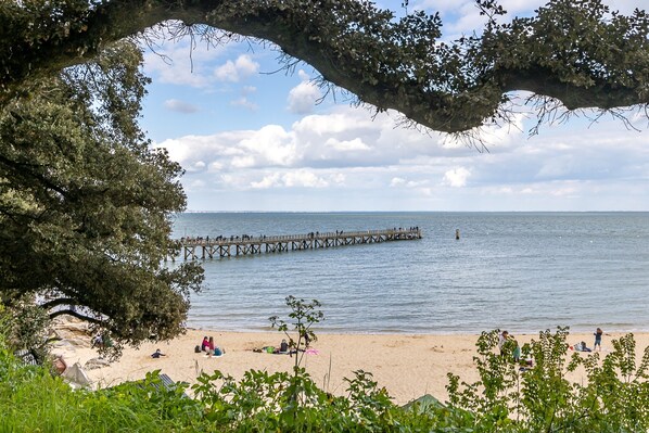 Une plage avec une jetée en bois qui s’avance dans l’eau, des personnes sur le rivage et un grand arbre qui encadre le paysage.