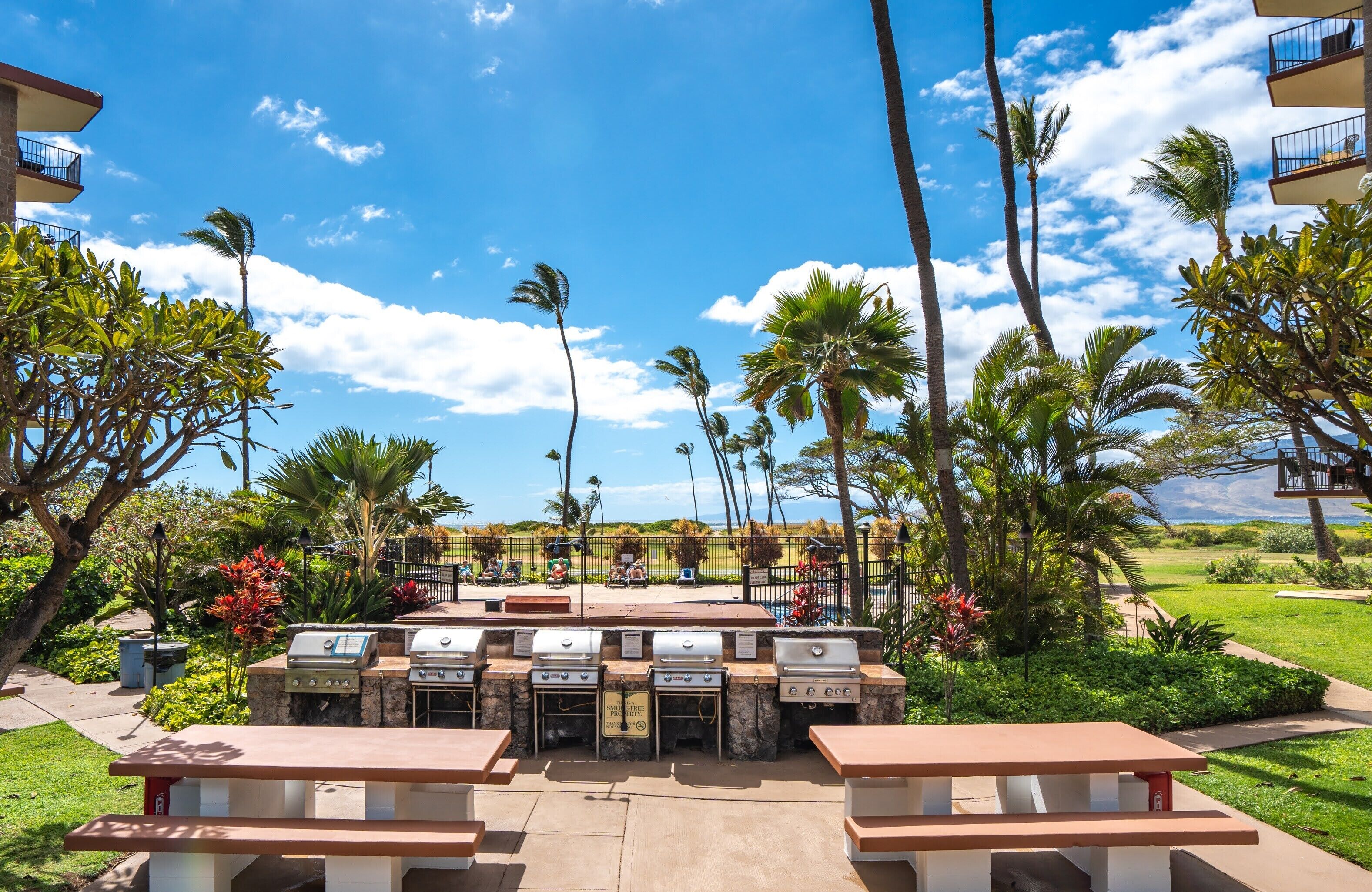 A barbecue area with multiple grills, picnic tables, and a view of a residential area with palm trees and a clear sky.