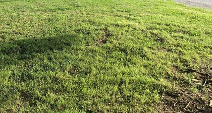 Come enjoy the TOTAL eclipse with us!