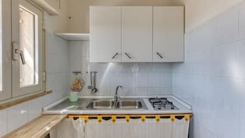 Fridge, stovetop, cookware/dishes/utensils, spices