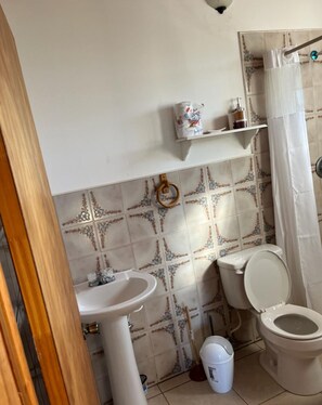 A bathroom with a toilet, sink, and shower curtain.