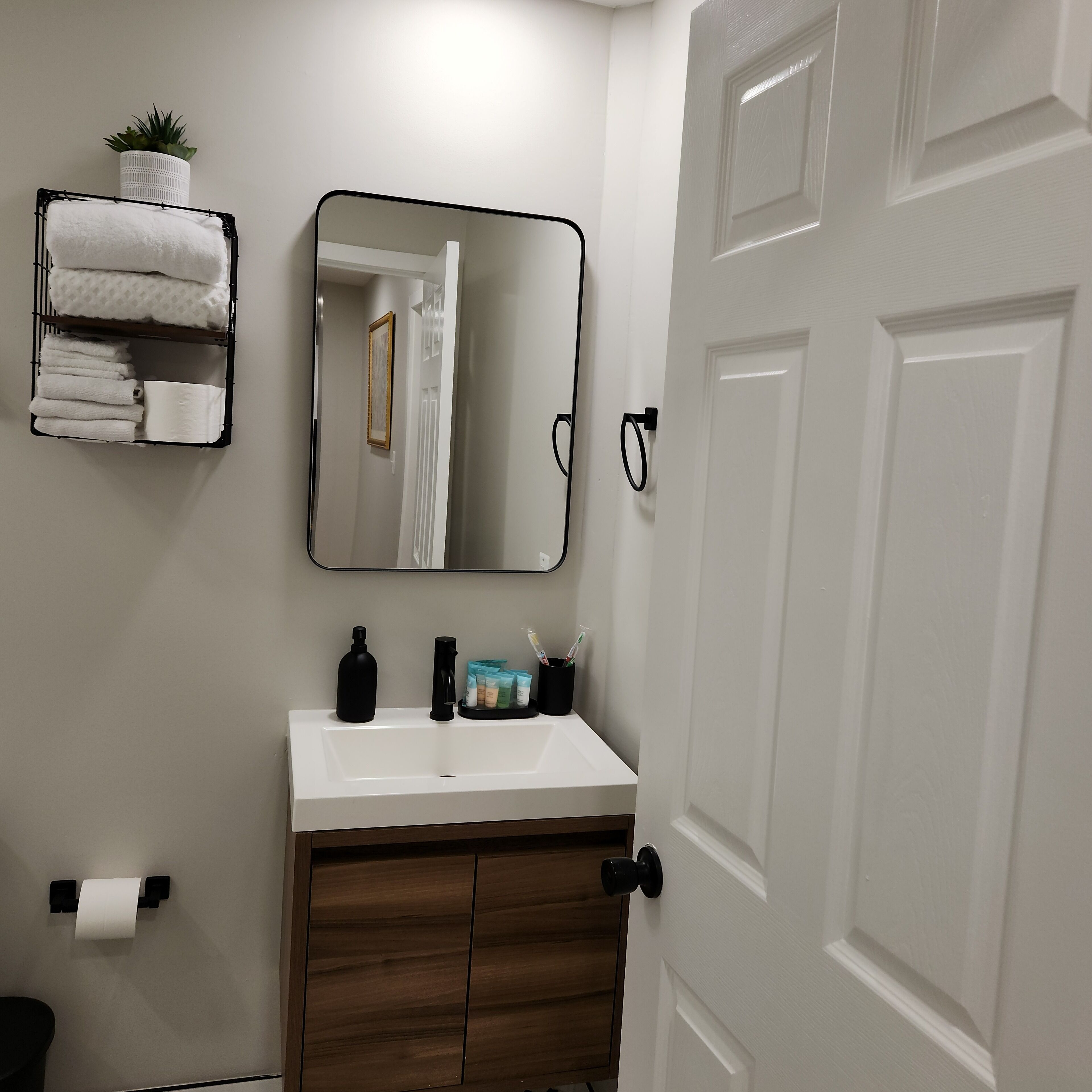 Hair dryer, bidet, towels, soap