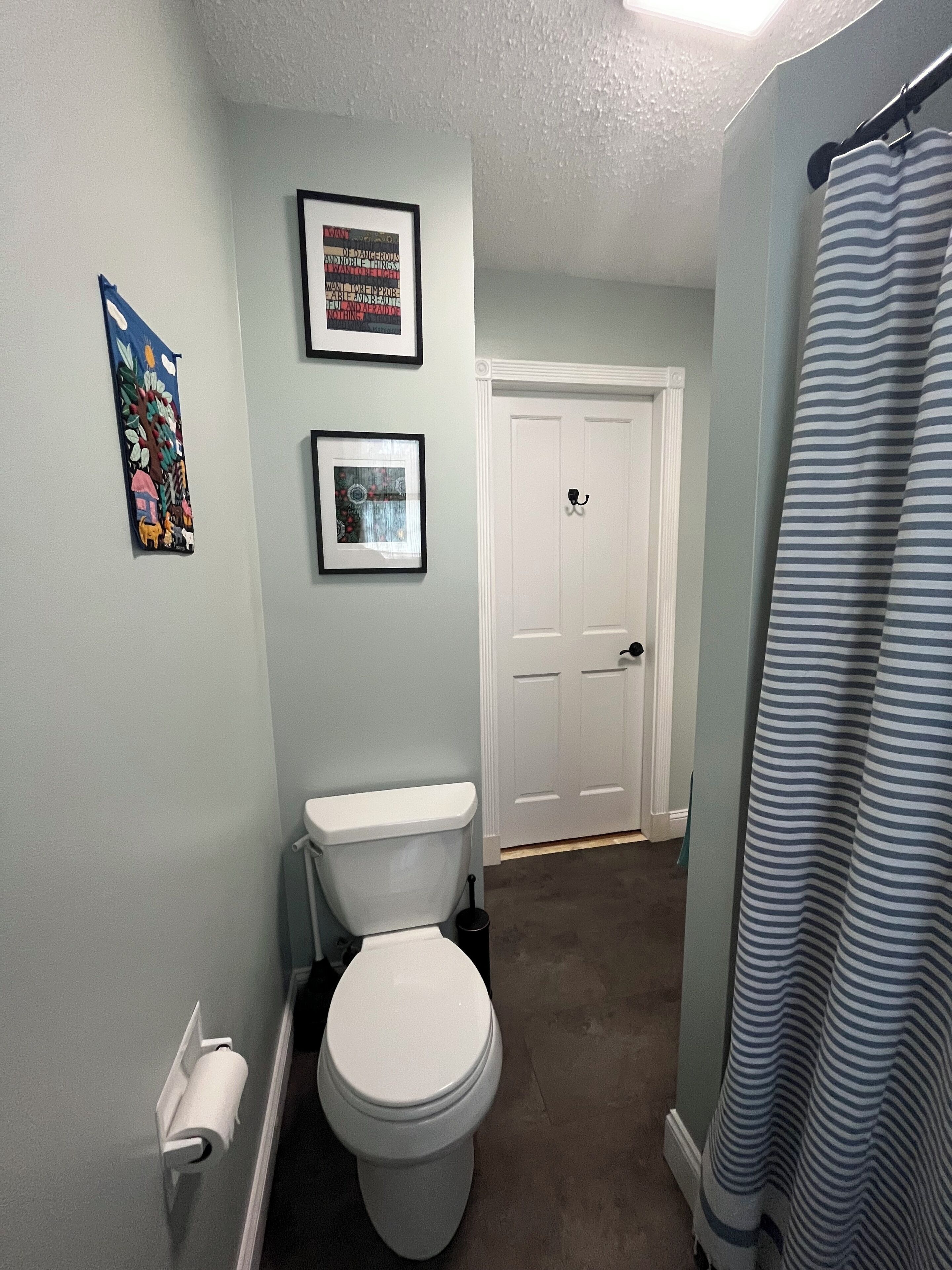 Une salle de bain avec des toilettes, un rideau de douche et deux tableaux encadrés au mur.