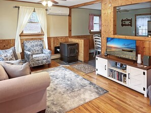 Smart TV, fireplace, books