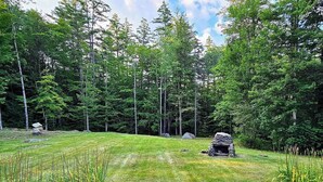 Un espace extérieur verdoyant avec une cheminée en pierre et un chemin pavé menant à celle-ci.