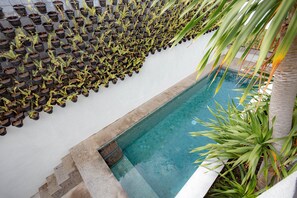 Pool - Town House Camy Bali (Bali)