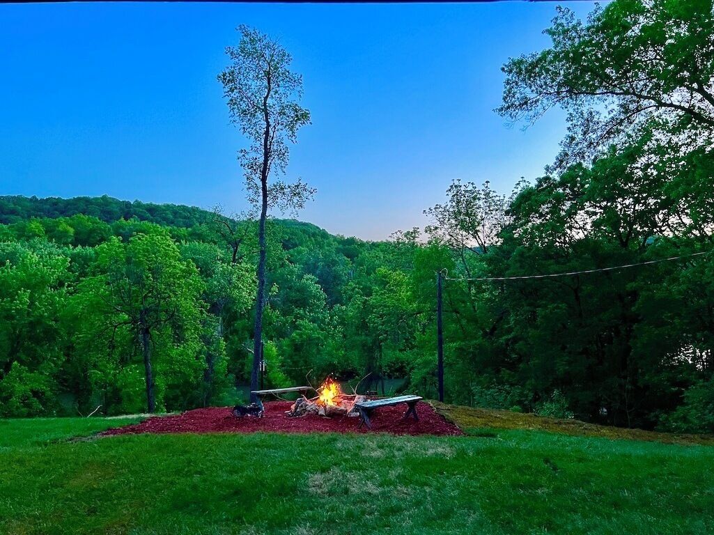 A campsite with a fire pit surrounded by a red mulch bed, set against a backdrop of dense green trees and a clear blue sky.