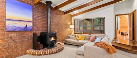 Smart TV, fireplace, video games, DVD player