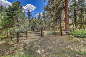 Unclassified image, 5 of 49, button