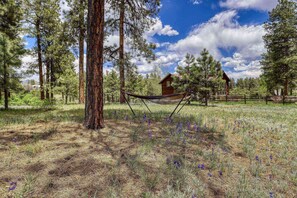 Property grounds - Pet Friendly Cabin w/ Huge Deck, Mountain Views, & Access to Turkey Springs Trails (Pagosa Springs)