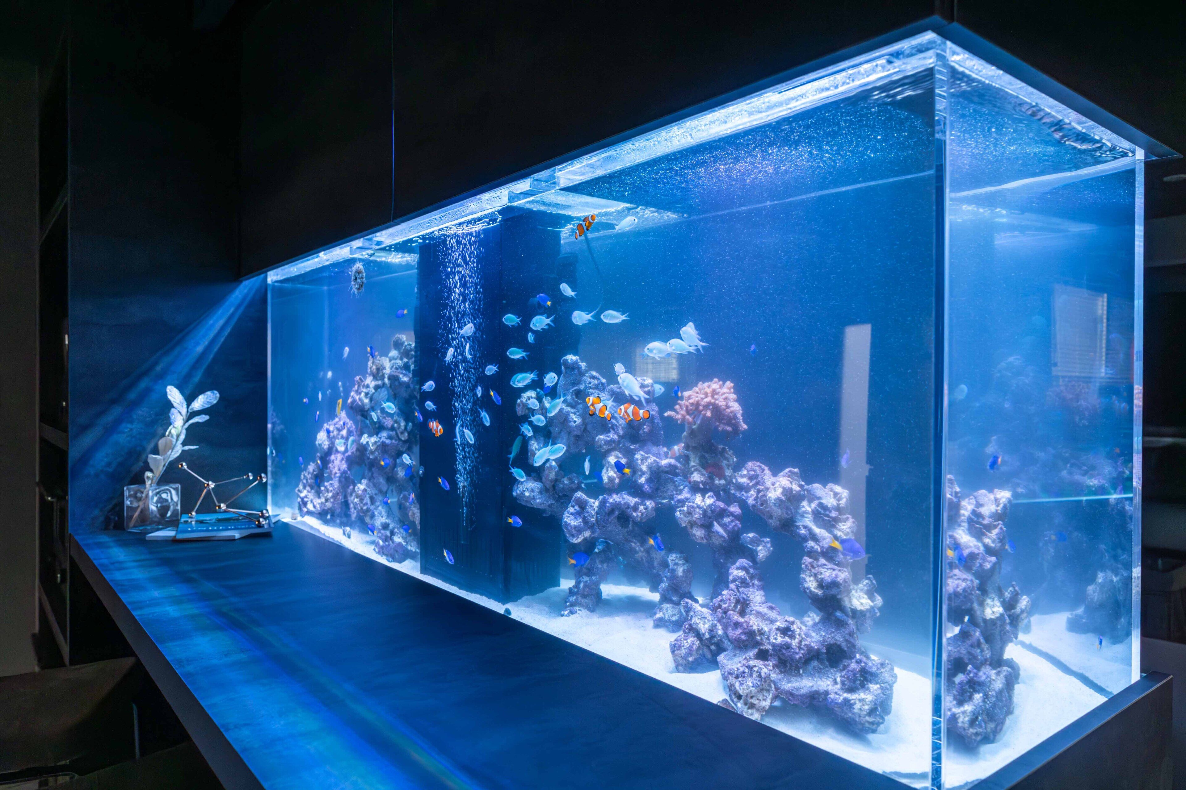 Photo - JAPAVISTA Aqua