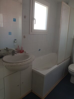 Chuveiro, secador de cabelo, sabonete, papel higiênico