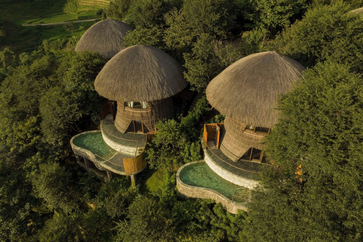 A cluster of thatched-roof treehouses surrounded by dense forest, connected by wooden walkways.