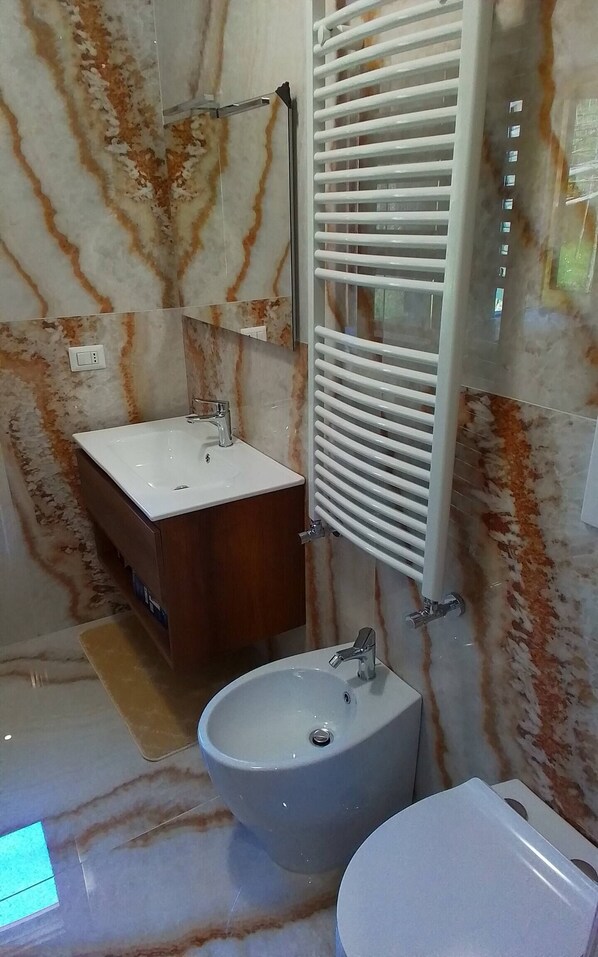 Shower, hair dryer, bidet, towels