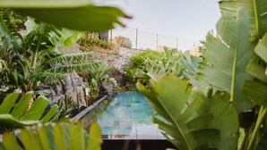 Uma piscina rodeada por vegetação exuberante e um muro de pedra.