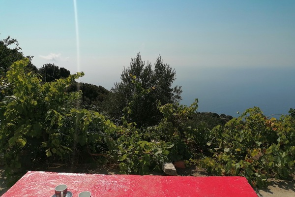 Blick von der Unterkunft