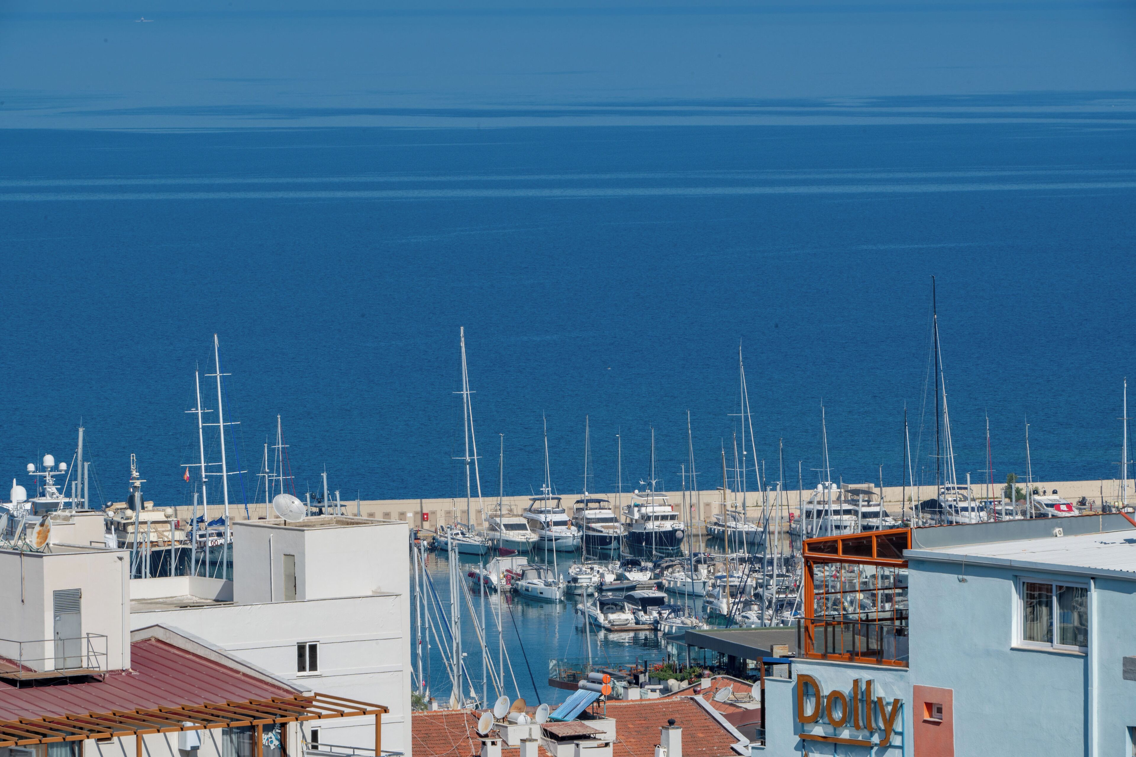 Vista desde la habitación