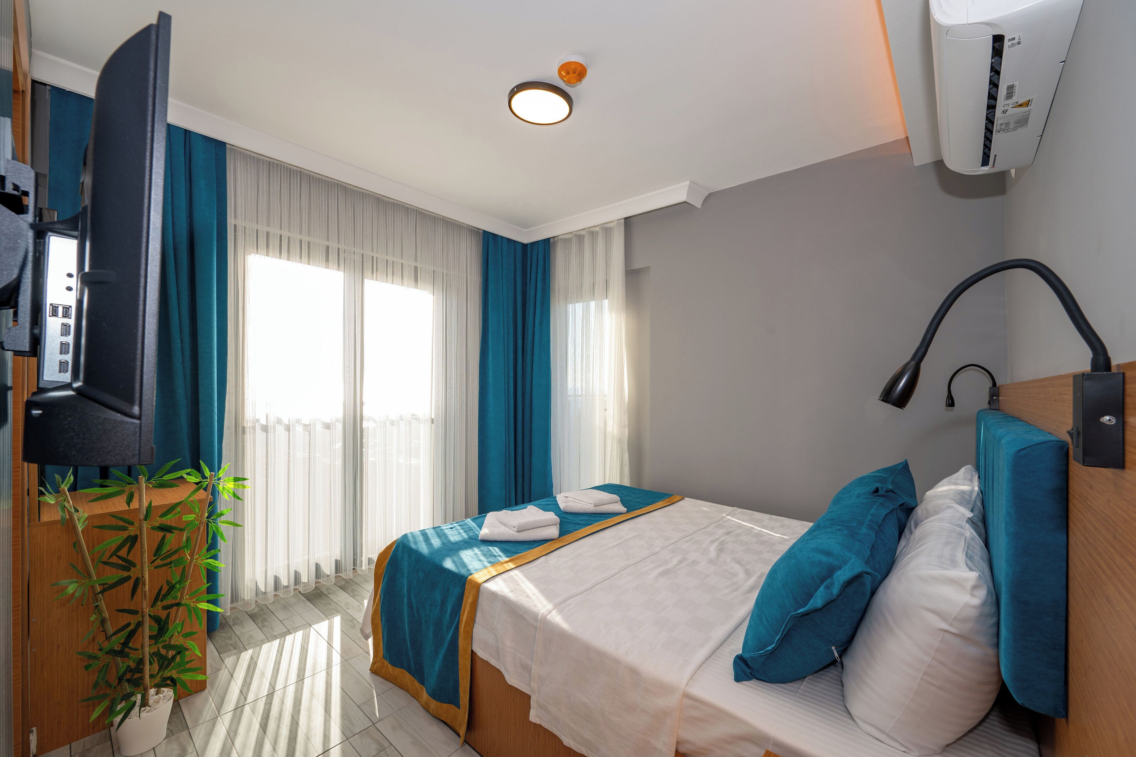 Una habitación de hotel con cama, televisor, planta y ventana con cortinas.