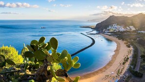Eine Küstenlandschaft mit Strand, klarem, blauem Meer und einem Kaktus im Vordergrund.