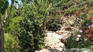A stone pathway in a garden with a green metal bench.