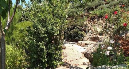 Luxurious Casa Rio ZĂȘzere River Beaches & Mountains Pets & Kids Welcome