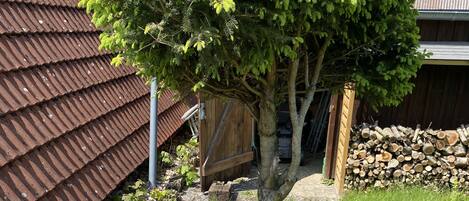 A garden with a tree, a wooden fence, and a pile of logs.