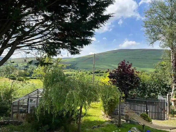 A greenhouse, a wooden fence, and a grassy area with trees. - Delightful Tiny House with stunning views in the Dublin Mountains!
(Dublin)