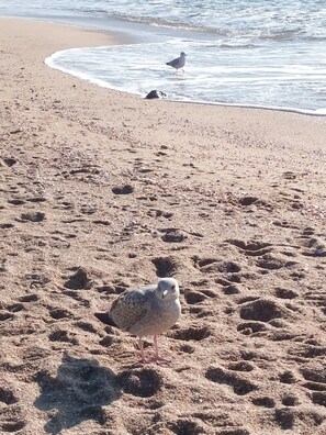 Am Strand