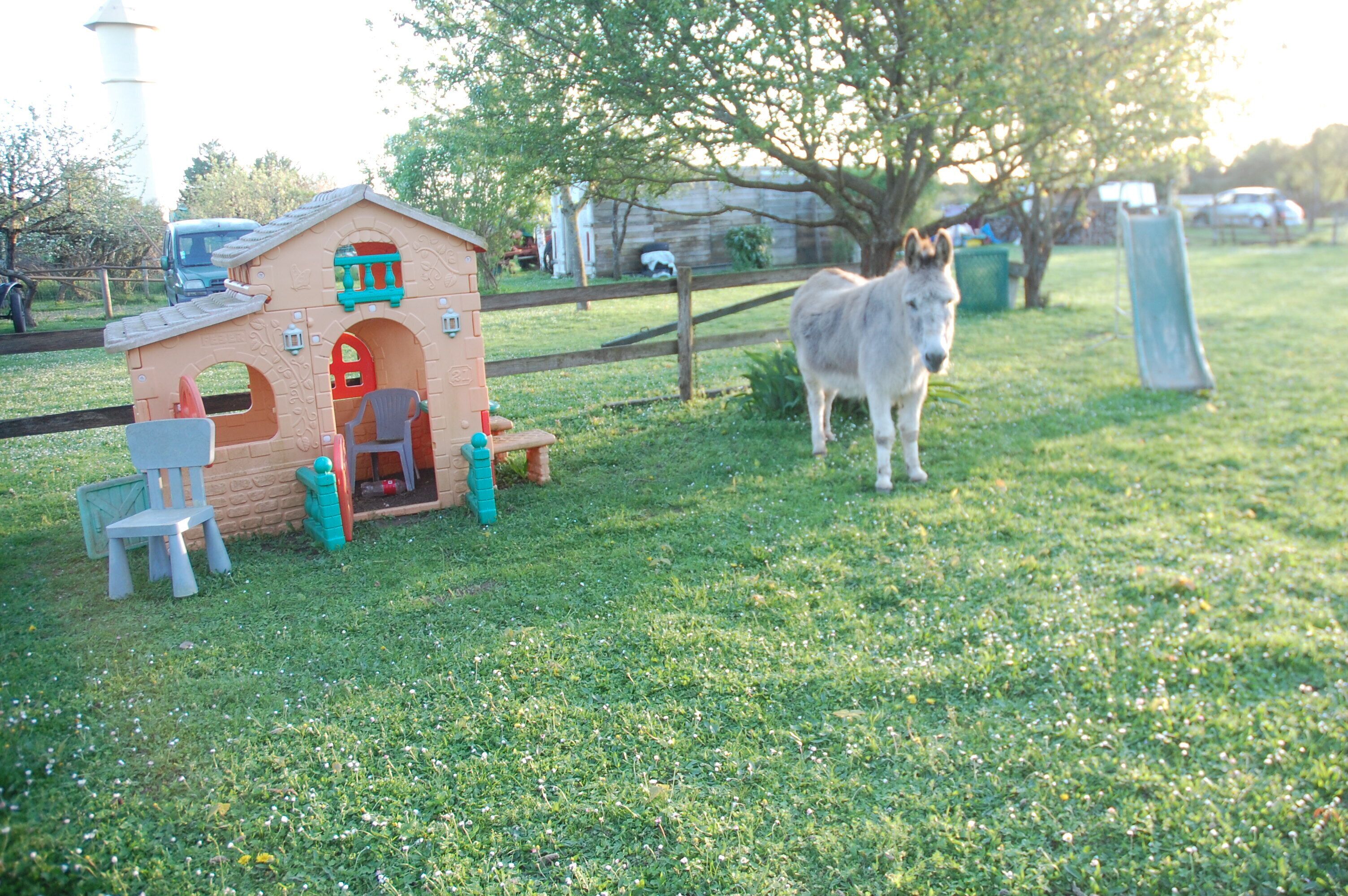 Enceinte de l’hébergement