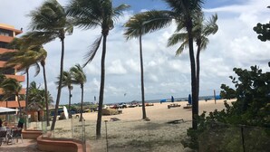 Vista de playa con palmeras, arena y un edificio de techo curvo.