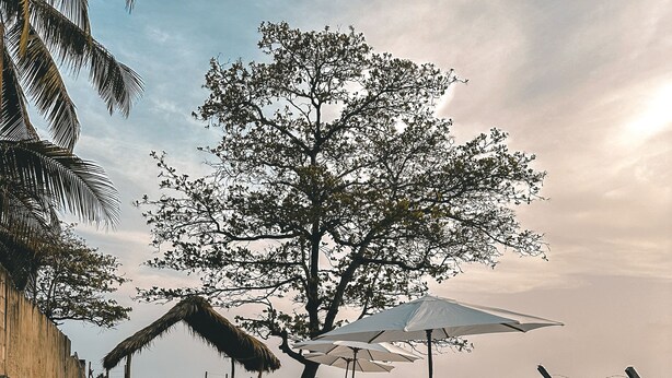 Une plage avec des chaises longues blanches, un abri à toit de chaume et des parasols.