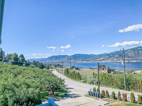 Une route menant à une région côtière, avec des vignobles et une vue sur la mer et les montagnes.