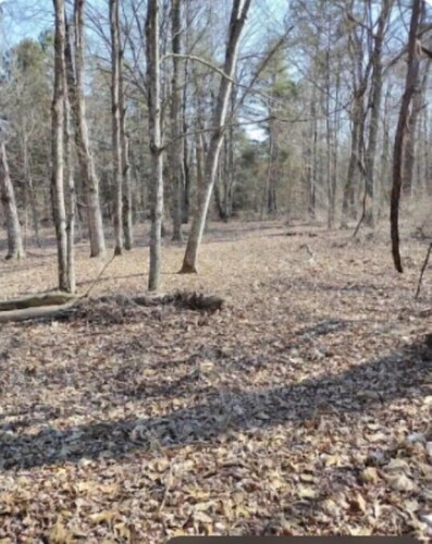 Wanderers End Sanctuary Forest Farm & Village Co-op