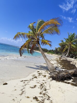 Beach - Studio Le Colibri, les Marines, au Pied du Port de St François, vue Imprenable! (Saint-François)