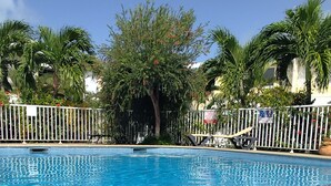 Piscina azul cristalina cercada por uma cerca branca, palmeiras e uma placa indicando a presença de salva-vidas.