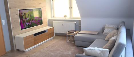 Smart-TV, videospill, DVD-spiller og bøker